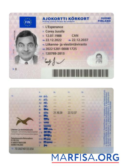 Printable Finland driving license 2022 present real example